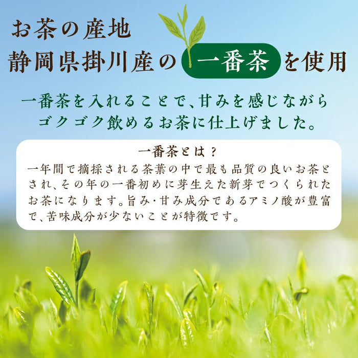 業務用ティーバッグ 深蒸し掛川茶 100個入