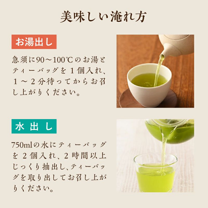 業務用ティーバッグ 深蒸し掛川茶 100個入